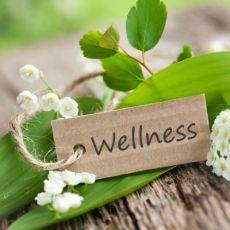 Wellness and Spa Program
