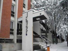 Depadans Javor, Tara