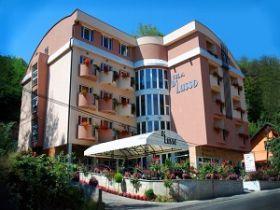 Villa Di Lusso, Ribarska Banja