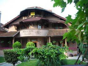 Vila &amp; Spa Stević, Veliko Gradište