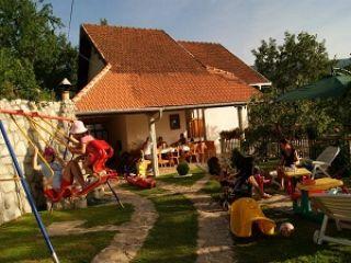 Vila Pavlovića Staze, Pribojska Banja