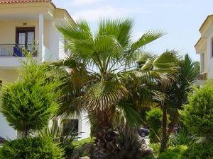 Hotel Lilly Ann Beach 3*** , Nikiti