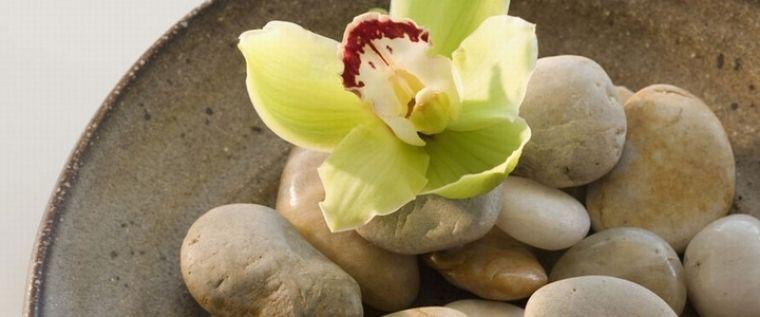 Terme Ptuj Slovenija