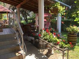 Vila Savićević Rako, Mataruška Banja