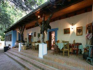 Salaš 137, Čenej, Novi Sad