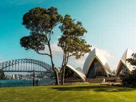 Avio karte Beograd Sidnej