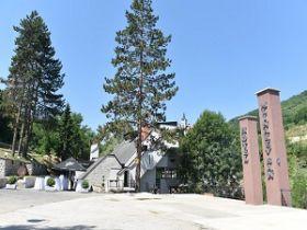 Hotel Mlinarev san 3***, Arilje