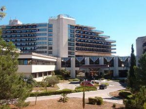 Institut Dr.Simo Milošević ***, Igalo