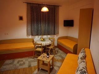 Vila Bjanka, apartman br. 1, Kopaonik